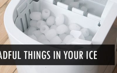 3 Dreadful Things You Didn’t Know Were in Your Ice
