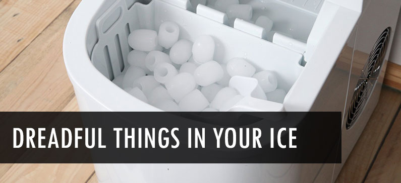3 Dreadful Things You Didn’t Know Were in Your Ice